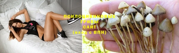 герыч Верхний Тагил