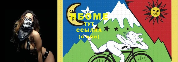 ГАЛЛЮЦИНОГЕННЫЕ ГРИБЫ Верея