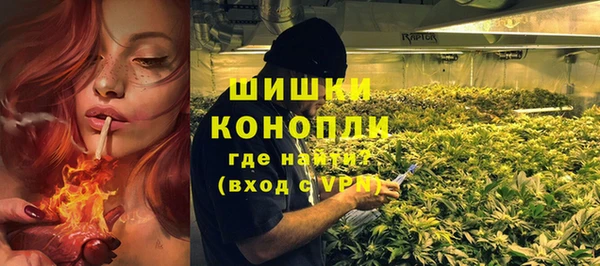 дживик Снежногорск