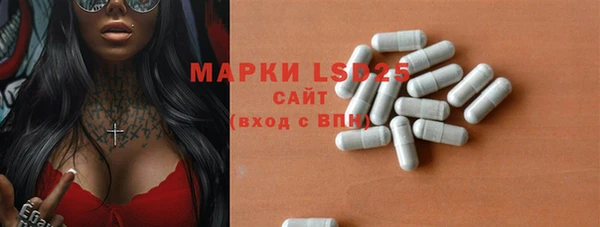ГАЛЛЮЦИНОГЕННЫЕ ГРИБЫ Верея