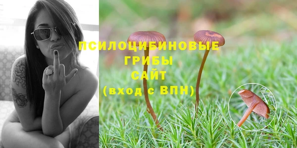 дживик Снежногорск