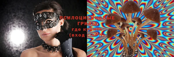 ГАЛЛЮЦИНОГЕННЫЕ ГРИБЫ Верея