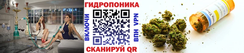где купить   mega ONION  Бошки марихуана планчик  Лянтор 
